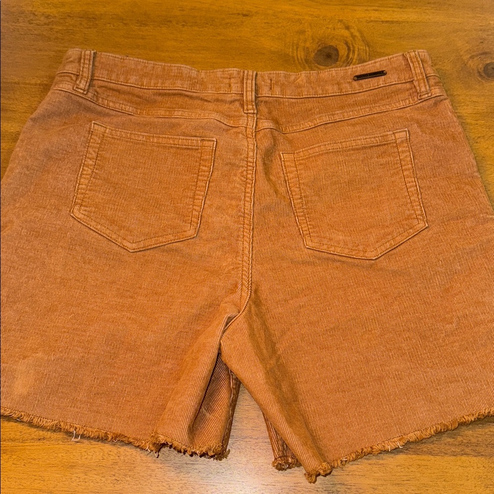 Carve Designs Copper Corduroy Shorts - Picture 4 of 5